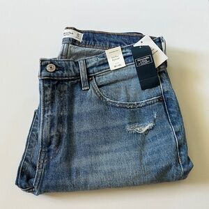 Abercrombie & Fitch Mid-rise Boyfriend Jeans Size 30/10s
